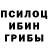 Псилоцибиновые грибы MAGIC MUSHROOMS EE33 EE33